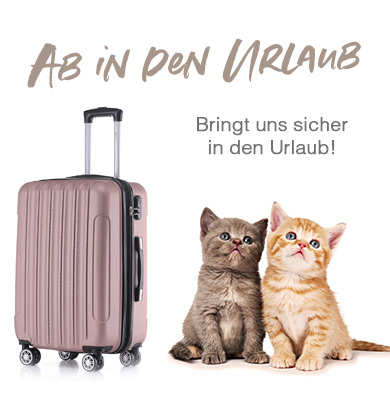 Katzenurlaub